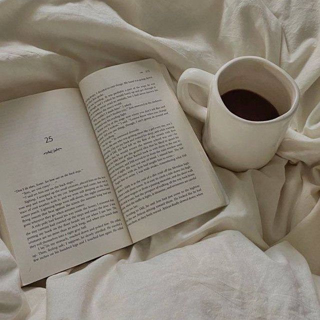 Книга, чай и плед📚