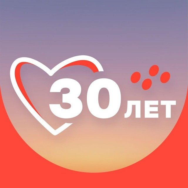 Лизинговая компания CARCADE ✔