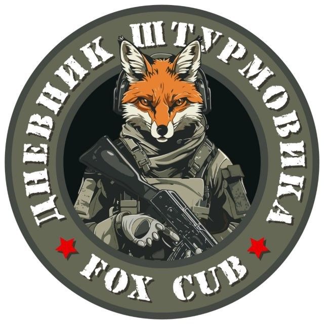 Дневник штурмовика