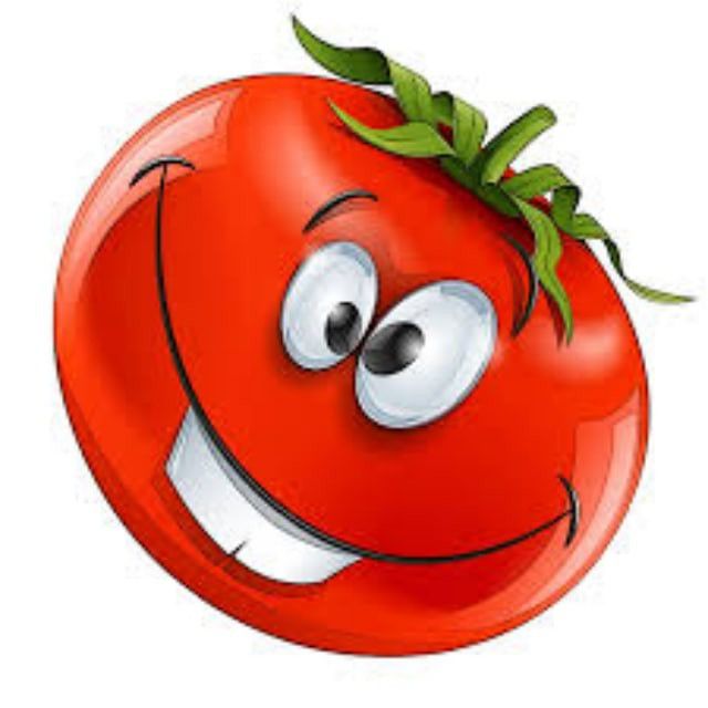 Помидоры в рагу 🍅🍅🍅