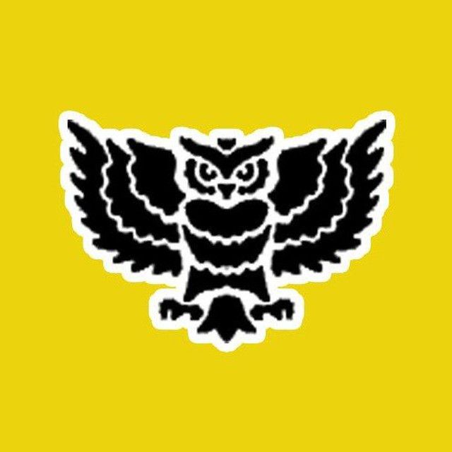 Ночной дозор